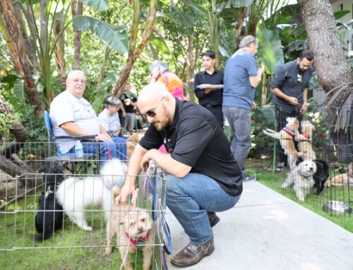 Thank you for supporting Poker for Puppies 2019
